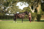 SBM_60072