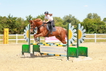 SBM_006360
