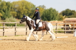 SBM_000363