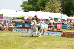 SBM_16882