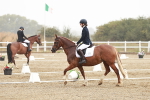 SBM_001137