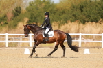 SBM_017697