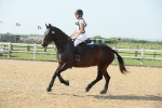 SBM_010741