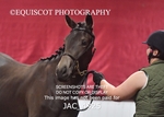 JAC_4925