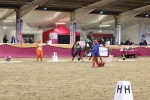 SBM_09795