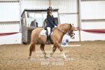 BPP_8160