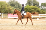 SBM_001090