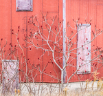 #22 - KILNS OF NORFOLK COUNTY