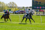 220426-Race 2-Naanas Shadow-0129