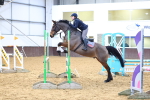 Class 2 - Senior British Novice - 90cm portfolio