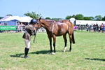 SBM_18170
