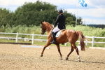SBM_002151