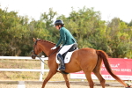 SBM_003079