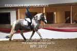 BPP_2872