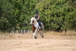 WJ6_9195