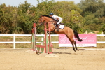 SBM_003854