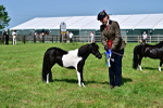 SBM_03689