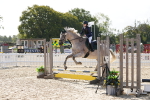 SBM_16843