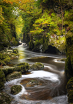 EF6A9357_Fairy Glen