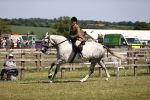 SBM_17735