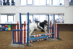 SBM_001382