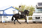 SBM_00257
