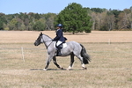 WJ6_8819