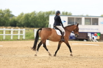 SBM_000147