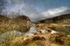 Haytor Quarry