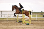 SBM_025256