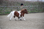 SBM_003931
