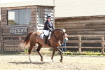SBM_001768