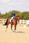 SBM_018564