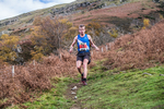 Stybarrow Dodd-707