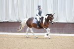 SBM_006931