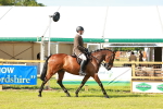 SBM_12011