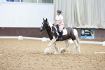SBM_000768