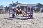 BPP_8976
