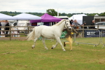 SBM_04256