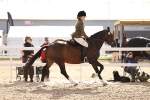 SBM_09036