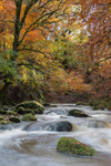 October, Afon Clywedog