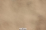 260424-123658-10406