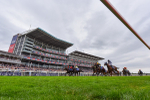 230825-Race 5-Northern Ticker-9921