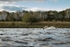 Brockholes 12