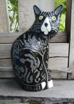 Cat / Black & White