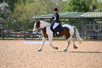 WJ6_6767