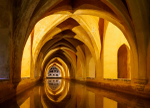 Andalucia 5  -137