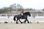 SBM_006988