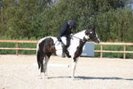 20260905-1586