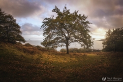 Devon & Cornwall